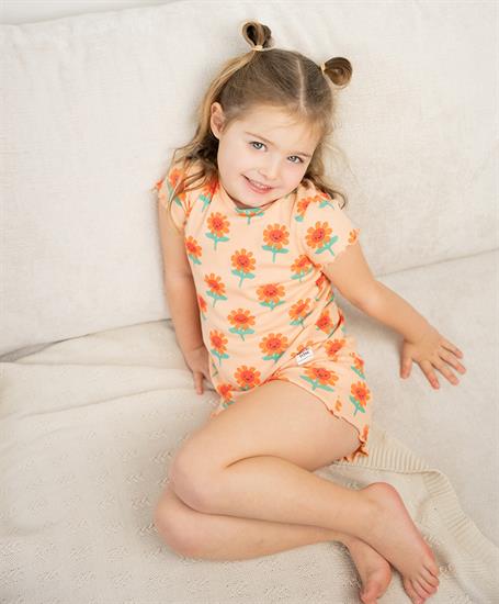 Alan Red T-Shirt Virginia 3-Pack